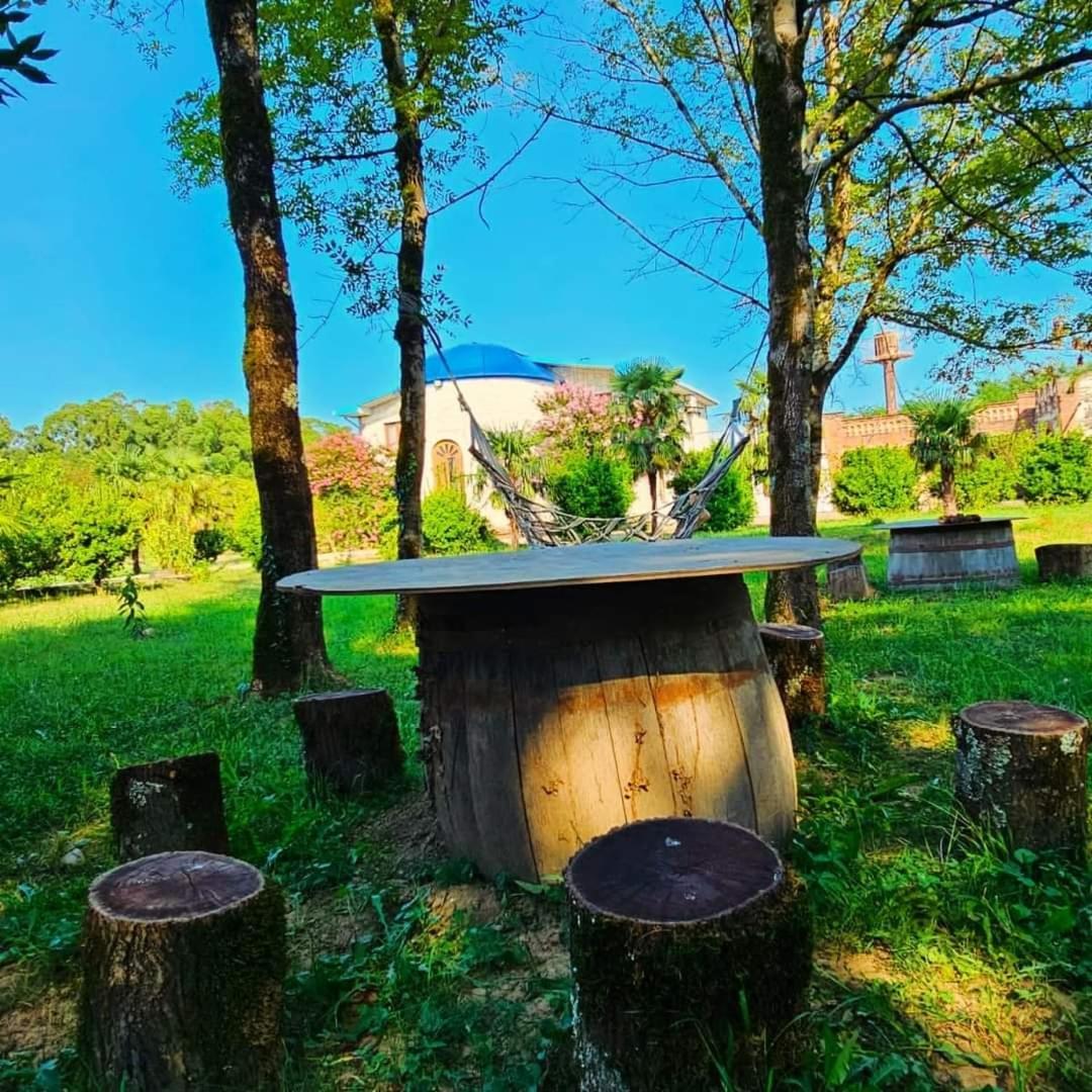 Blue Guest House Samtredia 외부 사진